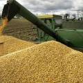 Правительство обсудит введение экспортных пошлин на зерно в 2012 году