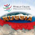 Правительство поддержало ратификацию вступления России в ВТО