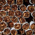 Philip Morris намерен закрыть сигаретную фабрику в Австралии