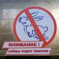 Штрафы для московских безбилетников вырастут в 10 раз