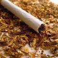 В России ужесточили требования к табачной продукции 