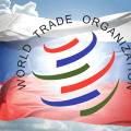 России потребуются новые чиновники из-за вступления в ВТО
