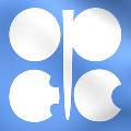 Россия обсудит с ОПЕК возможное сокращение добычи нефти