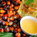 Импорт пальмового масла в Россию снова растет
