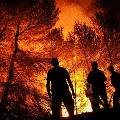 Арендаторам будет разрешено тушить лесные пожары