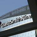 Компанию Glaxo Smith Kline обвиняют во взяточничестве в Сирии