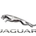 Jaguar запускает в серию новый внедорожник и создает 1300 новых рабочих мест 