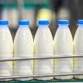 Россельхознадзор снял запрет на поставки в РФ продукции трех белорусских молочных 