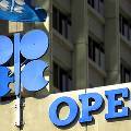 ОПЕК: цены на нефть достигли  четырёхлетнего минимума