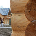 В Подмосковье будут строить деревянные поселки