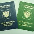 Правительство внесло в Госдуму законопроект, упрощающий въезд в Россию