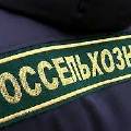 Россельхознадзор ограничит поставки с белорусских предприятий