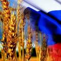Эксперт: Россия может стать продовольственной супердержавой, но только при помощи Китая или Запада