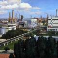 Российский завод по производству аммиака остановился из-за Украины