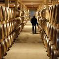 Франция потеряла лидерство в производстве вина